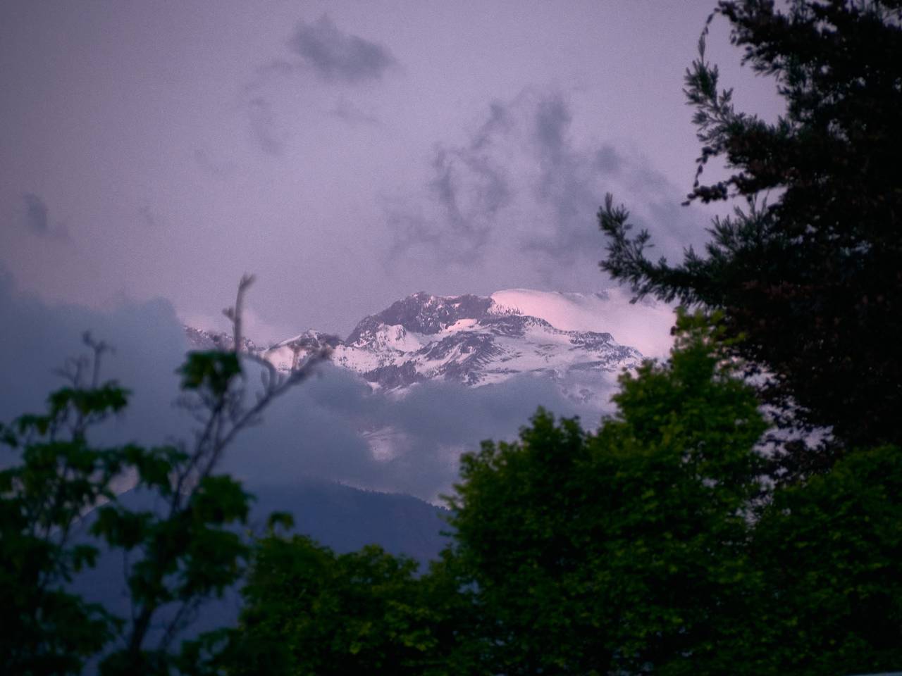Cumbre entre nubes y árboles, luz violeta