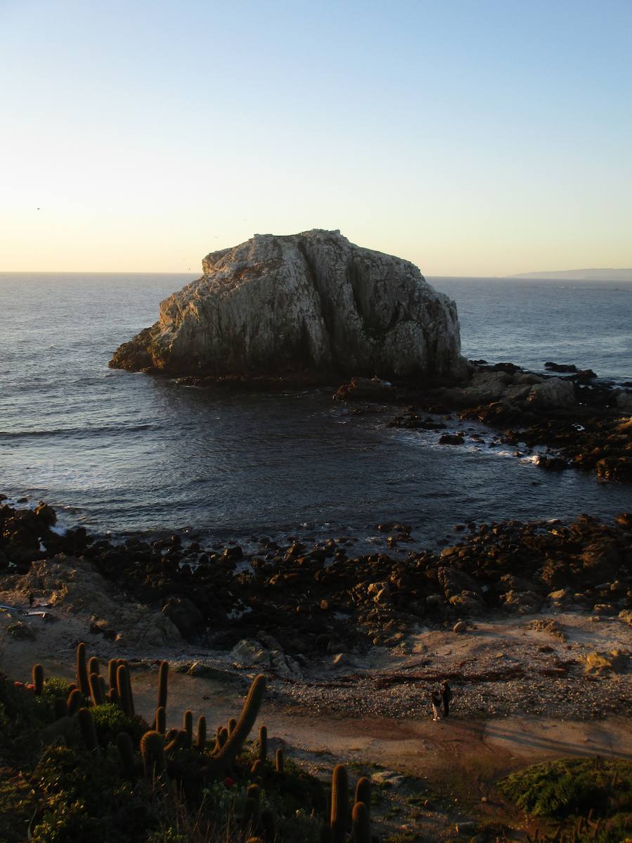 Lo que el mar no pudo